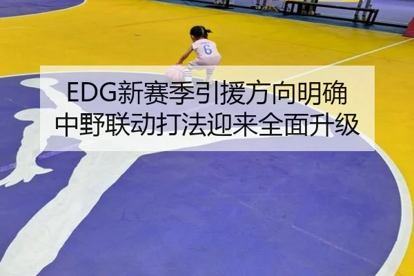 EDG新赛季引援方向明确 中野联动打法迎来全面升级